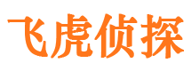 个旧调查公司